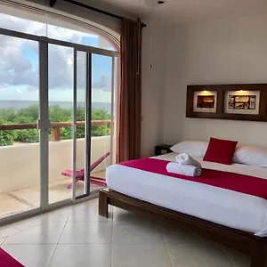 book here